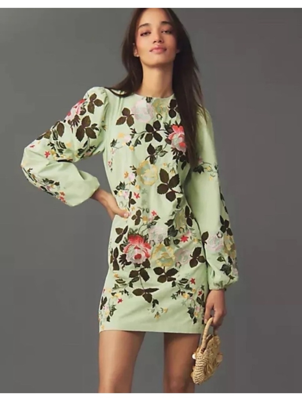 Anthropologie Let Me Be Fully Floral Embroidered Long-Sleeve Dress Sz XSP